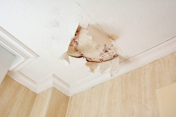 istock Peeling paint wall of water leak in plaster ceiling 960286018