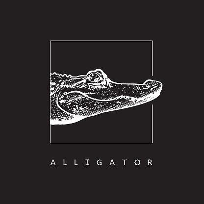 White illustration in engraving style of crocodilian reptile isolated on black background, design element for logo or template.