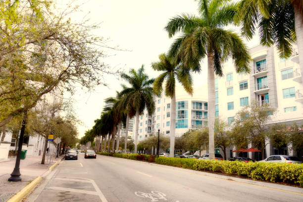 istock Miami South Beach Cityscape. 960294678