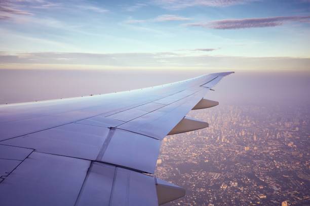 istock Wing of the airplane 960301954