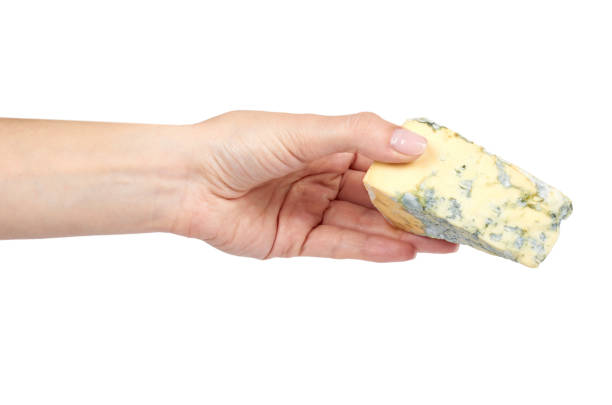 흰색 배경에 고립 손으로 밀키 블루 치즈의 조각 - milky cheese 뉴스 사진 이미지