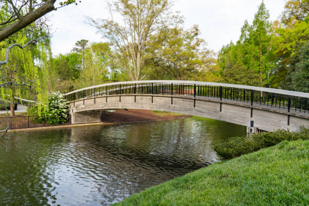 Bridge Over Lake in Pullen Park stock photo