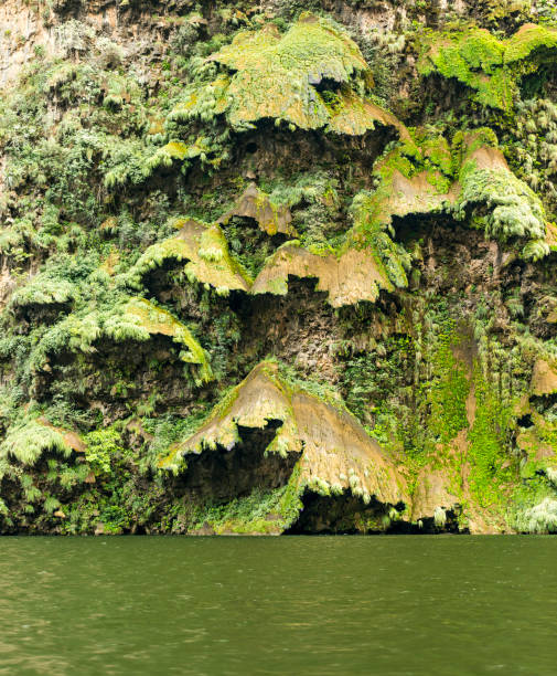 Christmas Tree Waterfall In The Sumidero Canyon Arbol de Navidad or the Christmas Tree Waterfall in the Sumidero Canyon, Chiapas Mexico mexico chiapas cañón del sumidero stock pictures, royalty-free photos & images