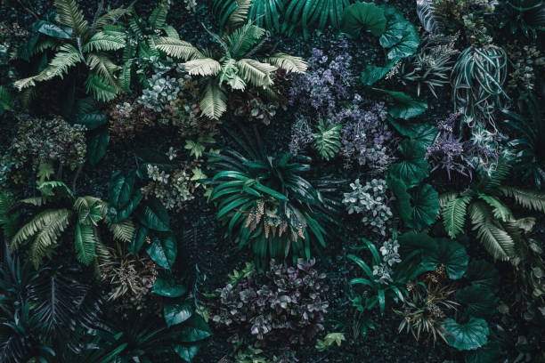 istock Beautiful nature background of vertical garden 960317892