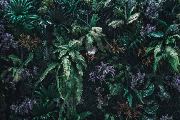 istock Beautiful nature background of vertical garden 960317898