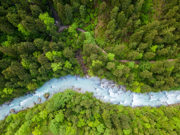 whitewater river in una foresta primaverile verde (steyr, alta austria) - mountain austria european alps landscape foto e immagini stock