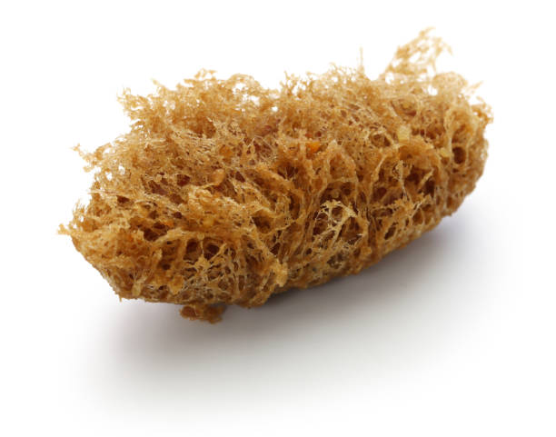 istock deep fried honeycomb taro dumplings, chinese dim sum 960333118