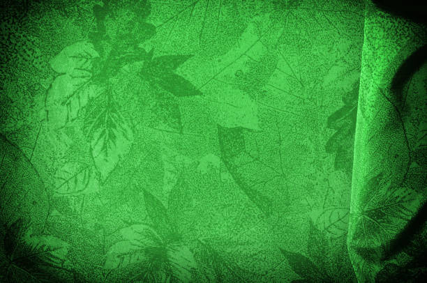 istock Texture, background, pattern. cloth silk green. This green flower silk crepe de China is here to charge your design! It is a subtle shine when its uplifting drape moves and falls. 960333308
