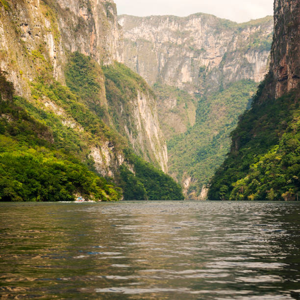 istock Tour Boats In Sumidero Canyon Mexico 960341566