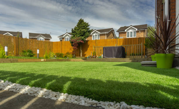 istock A modern Scottish Household garden with Plants Shrubs & new Decking 960341770