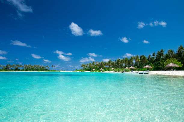 istock tropical Maldives island with white sandy beach and sea 960348034
