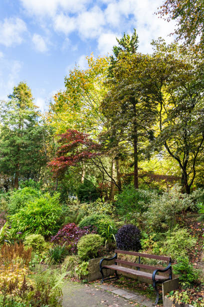 istock Autumn landscape. Colourful autumn trees with beautiful leaves. 960350036