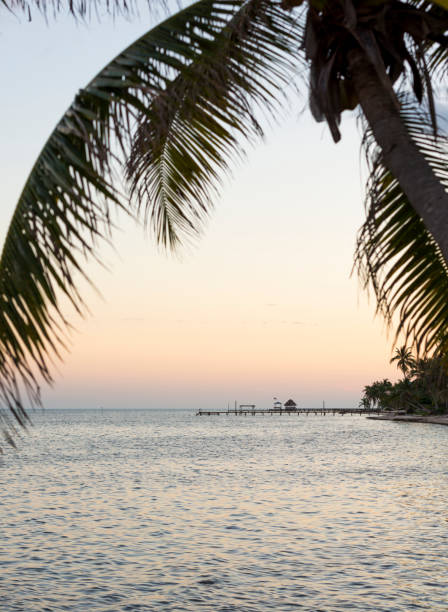istock Island Palmtree Over Sea 960352476