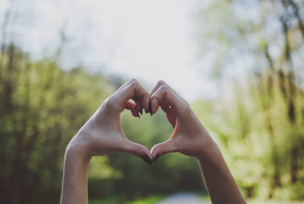 istock Girl demonstrating heart shape gesture against spring forest 960353388
