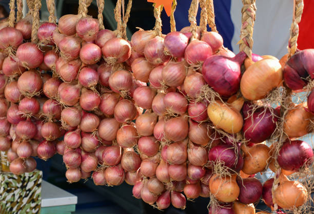 oignon violet suspendue dans une rangée - onion bag netting vegetable photos et images de collection