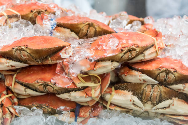 4,100+ Crabs Sellers Pictures Stock Photos, Pictures & Royalty-Free