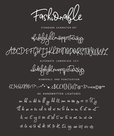 Letter Form Script Font Handrawn Vector Alphabet Letter For Script Font Stock Illustration ...