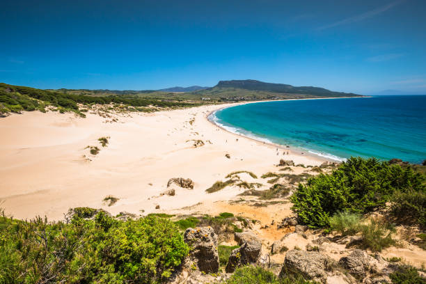 bolonia 비치, 카디 즈 지방, 안달루시아, 스페인의 모래 언덕 - cadiz andalusia beach spain 뉴스 사진 이미지