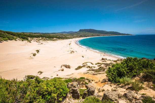 песчаная дюна пляжа болония, провинция кадис, андалусия, испания - andalusia beach cadiz spain стоковые фото и изображения