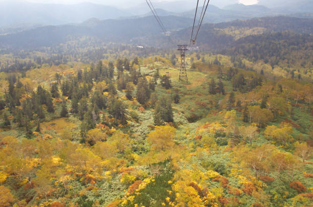 istock Daisetsuzan Asahidake Ropeway and Fall foliage in Hokkaido, Japan 960370122