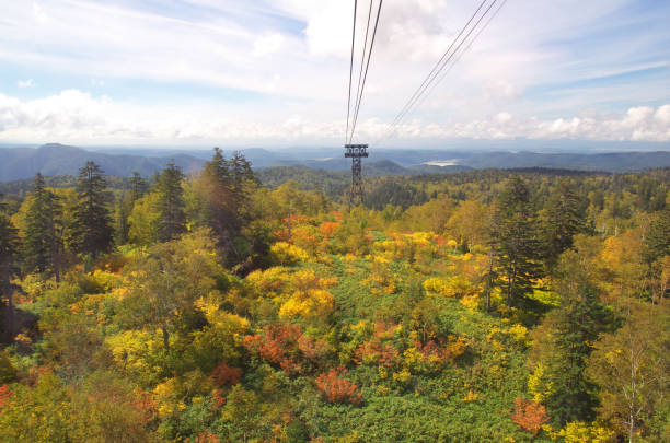 istock Daisetsuzan Asahidake Ropeway and Fall foliage in Hokkaido, Japan 960371528