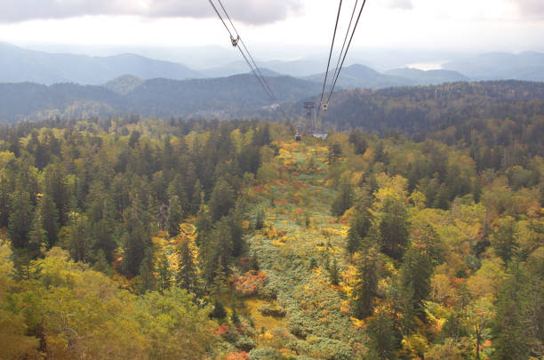 istock Daisetsuzan Asahidake Ropeway and Fall foliage in Hokkaido, Japan 960371736