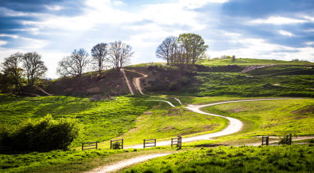 parco hadleigh - essex foto e immagini stock