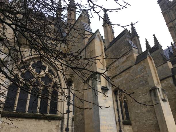 istock Black mulberry tree next to Exeter Cathedral Green - May 2018 960385728
