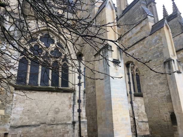 istock Black mulberry tree next to Exeter Cathedral Green - May 2018 960385770