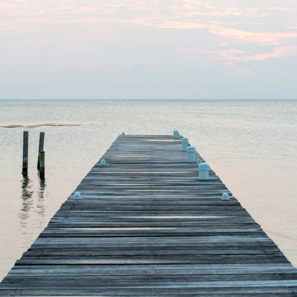 istock Wooden Jetty At Dawn 960386304
