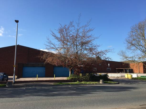 istock Copper beech tree at Marsh Barton industrial estate in Exeter - May 2018 960391626