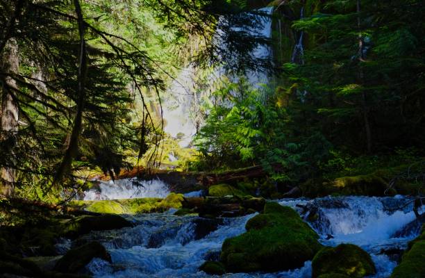 istock Oregon's Downing Creek Alcove 960394272