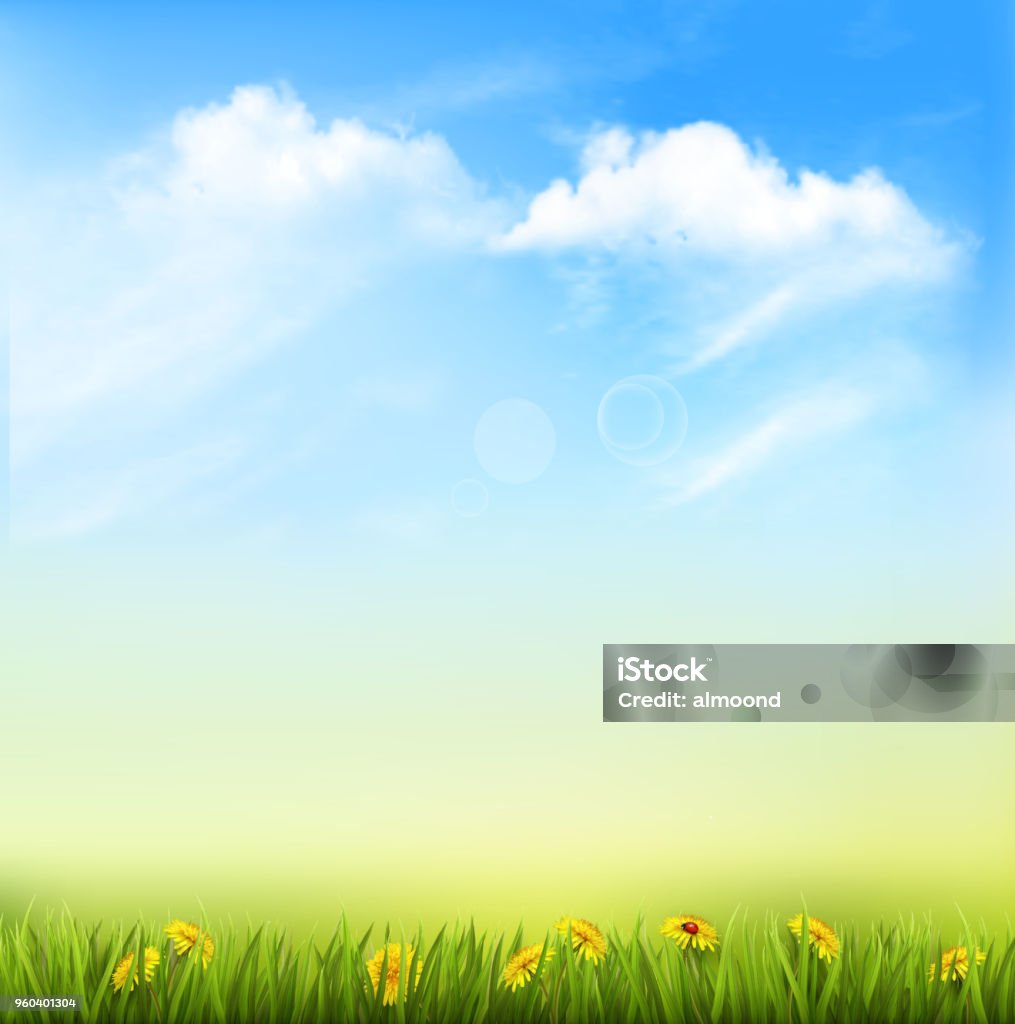Spring Nature Background With A Green Grass And Blue Sky Stock ...