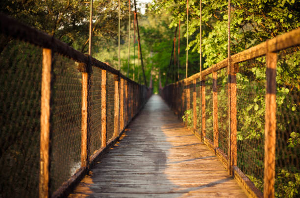 istock an old hanging bridge in the forest 960406840