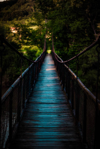 an old hanging bridge in the forest