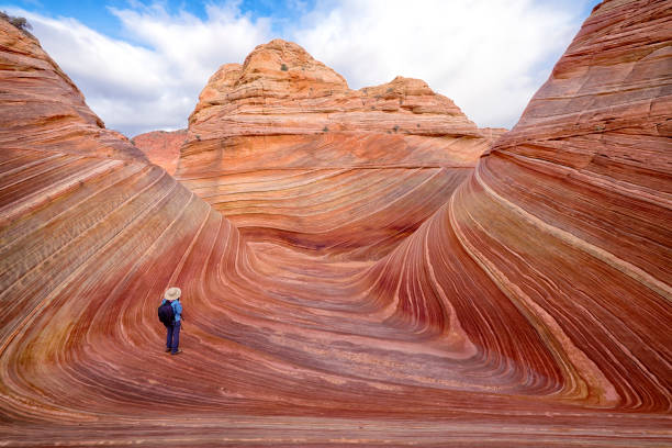 The Wave The Wave, rock formation in Coyote Buttes North,Arizona USA coyote buttes stock pictures, royalty-free photos & images