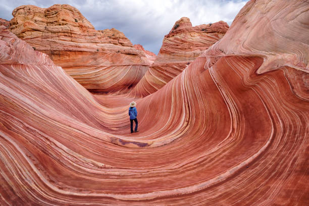 the wave  - panoramic canyon arizona scenics - fotografias e filmes do acervo