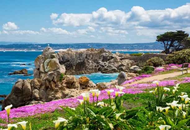 California coastline in spring with blue sky