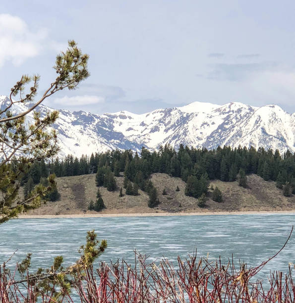 istock Scenic view at Grand Teton National Park 960423488