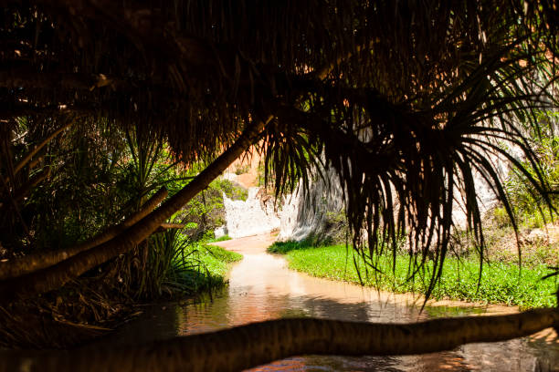 istock Fairy Stream Canyon Red river between rocks and jungle Mui Ne Vietnam 960423512