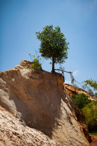 istock Fairy Stream Canyon Red river between rocks and jungle Mui Ne Vietnam 960423594