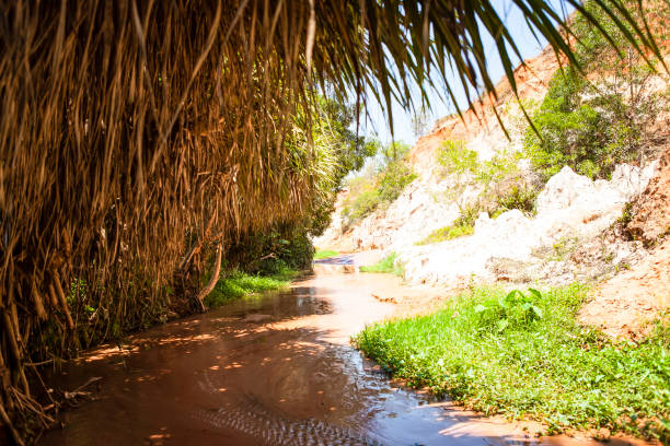 istock Fairy Stream Canyon Red river between rocks and jungle Mui Ne Vietnam 960423620