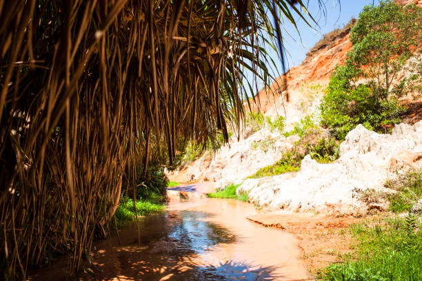 istock Fairy Stream Canyon Red river between rocks and jungle Mui Ne Vietnam 960423640