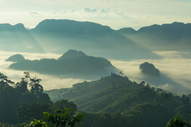 istock beautiful mist sea in the morning 960427462