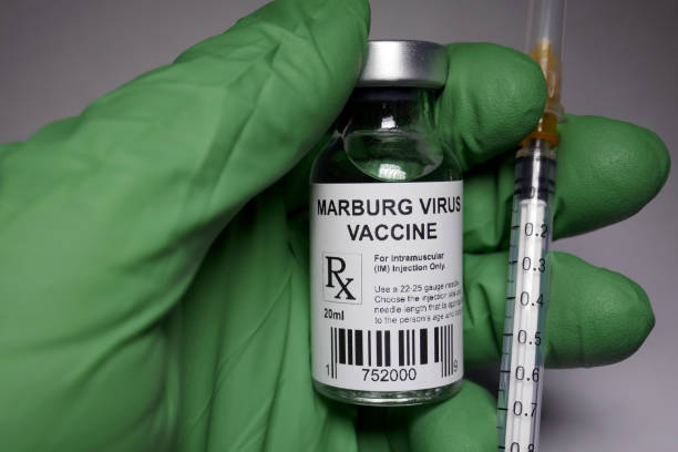 istock Marburg virus disease vaccine 960428200