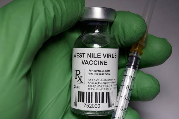 istock West Nile virus vaccine 960430600