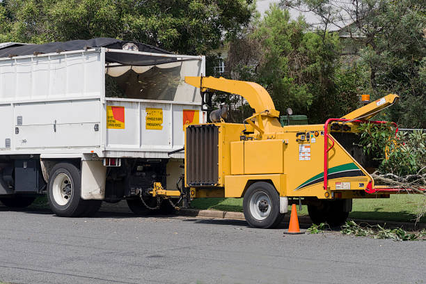 istock Wood shredder in action 960431766