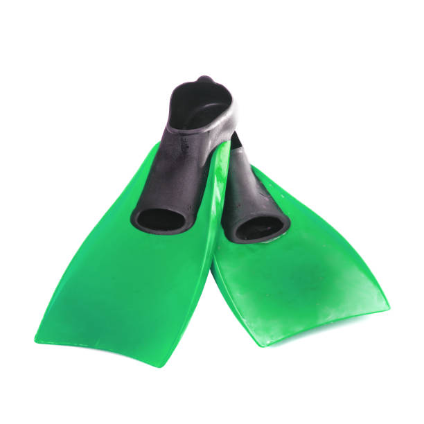 istock Flippers green isolated against white 960432276