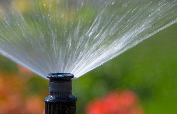 istock Clever garden with a fully automatic irrigation system, water azaleas. 960435896