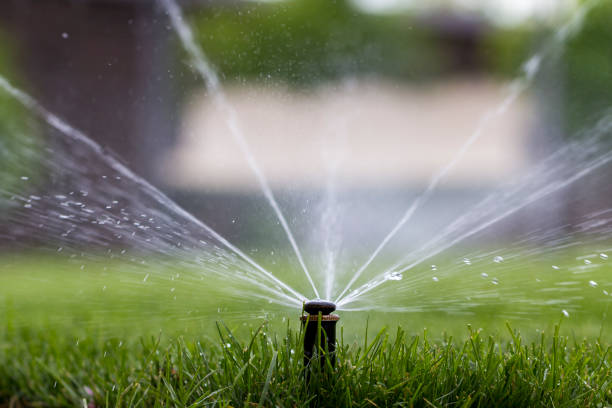 istock automatic sprinkler system watering the lawn on a background of green grass 960436068